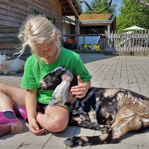 kinderboerderij