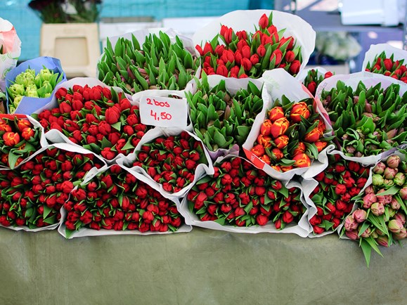 Tulpenbos