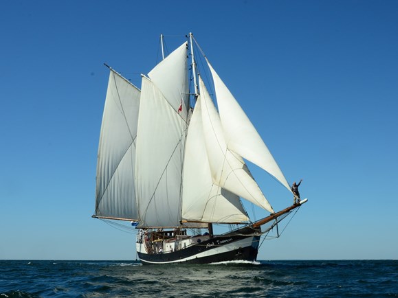 Zeilboot Abel Tasman