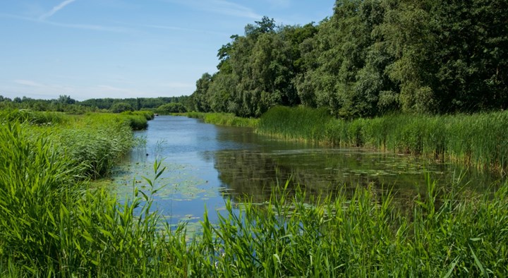 Lutjebroek