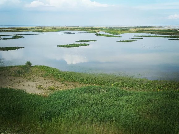 Vogelkijktocht