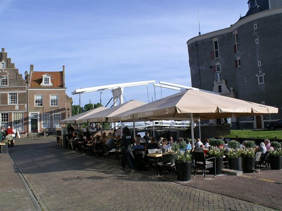 Terras 