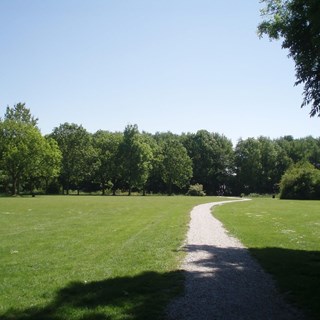 Wandelpad in het Streekbos