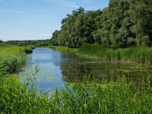 De Weelen Lutjebroek