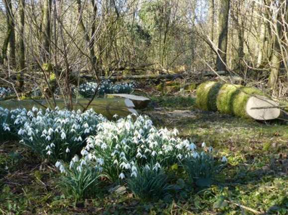 Ecoproject in het Streekbos