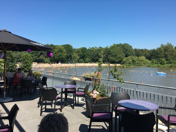 Terras IJgenweis eten & drinken Streekbos