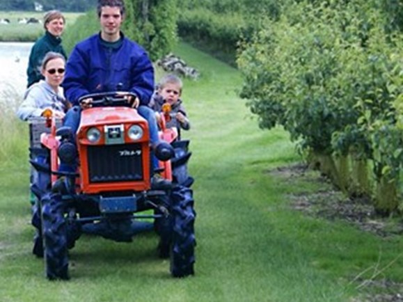 Tractor bij Fruitkwekerij 