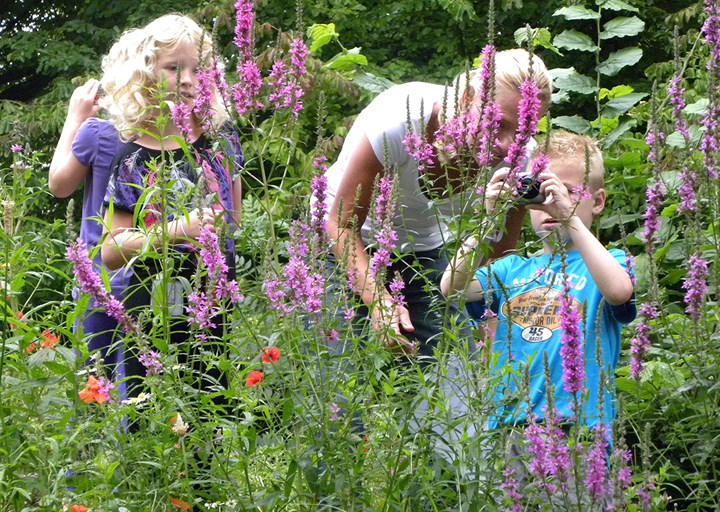 Heemtuin bij Hertenkamp