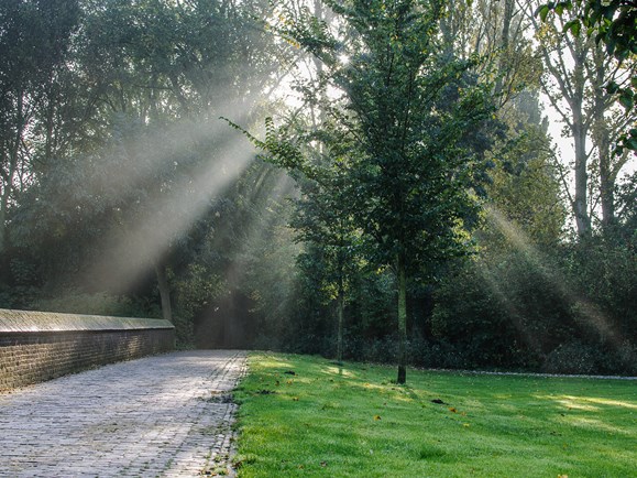 Wilhelminaplantsoen Hertenkamp
