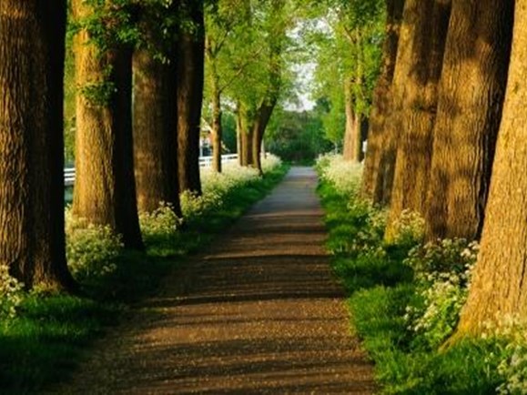 De vesting van Enkhuizen