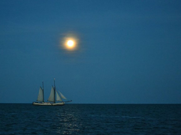 Schuttevear op het water volle maan