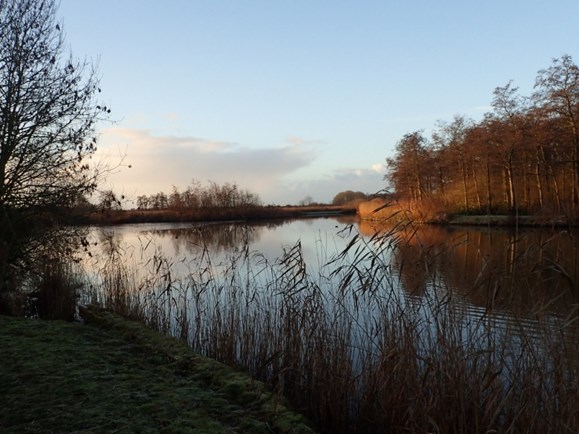 Streekbos Enkhuizen