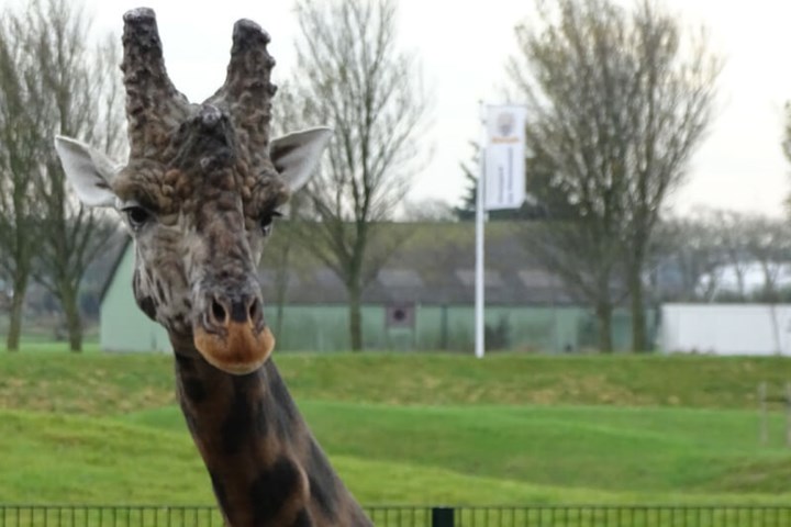 Tuitjenhorn Blanckendaell dierenpark