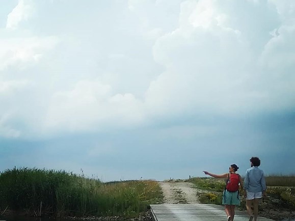Wandelen door de Marker Wadden