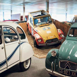 Opgestelde eenden in het Eendenmuseum