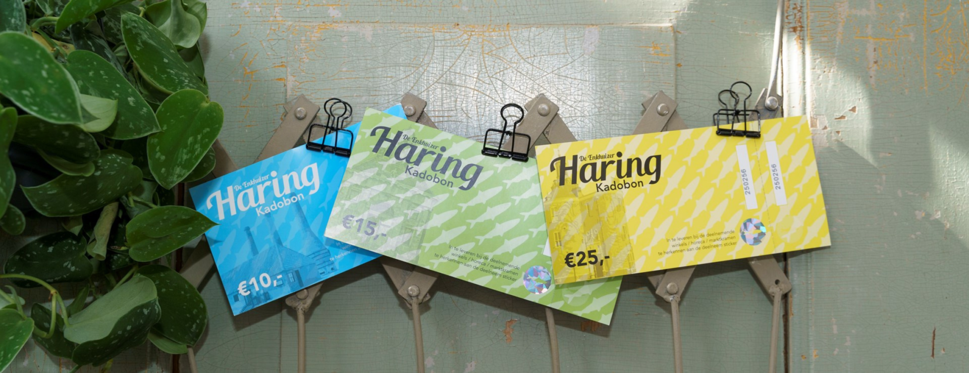 Haringbon Enkhuizen met verschillende bedragen