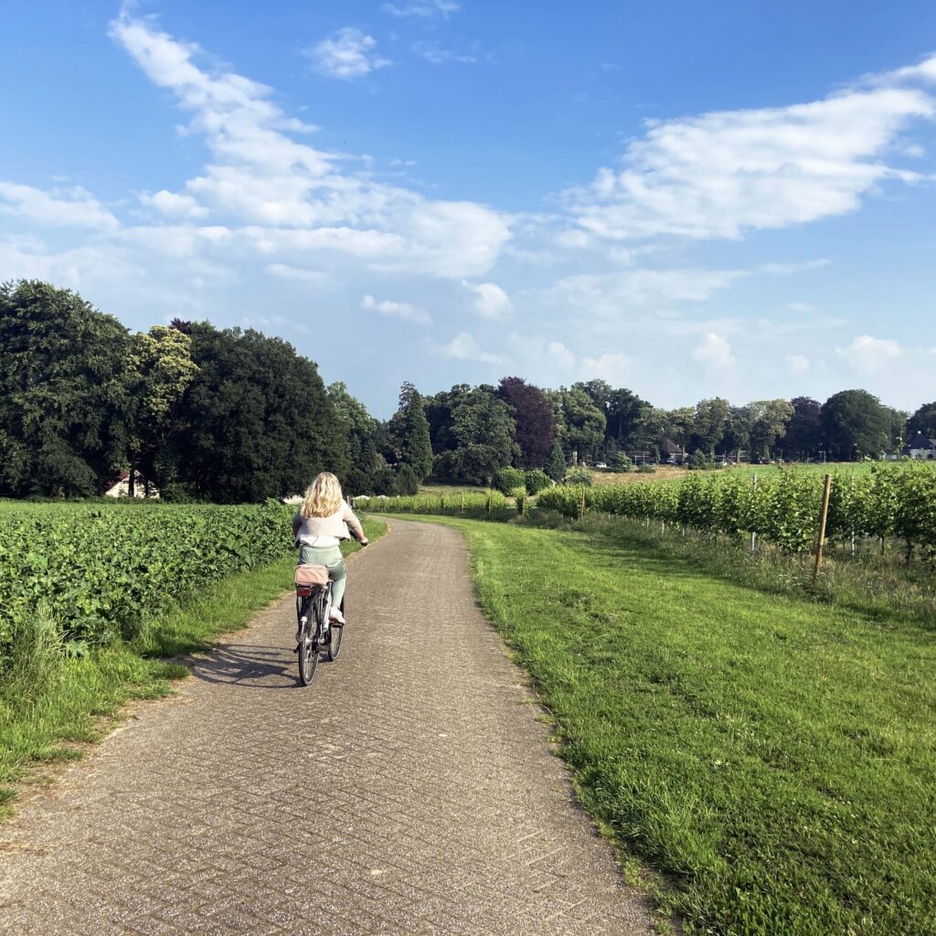 Fietsen door polder het Grootslag