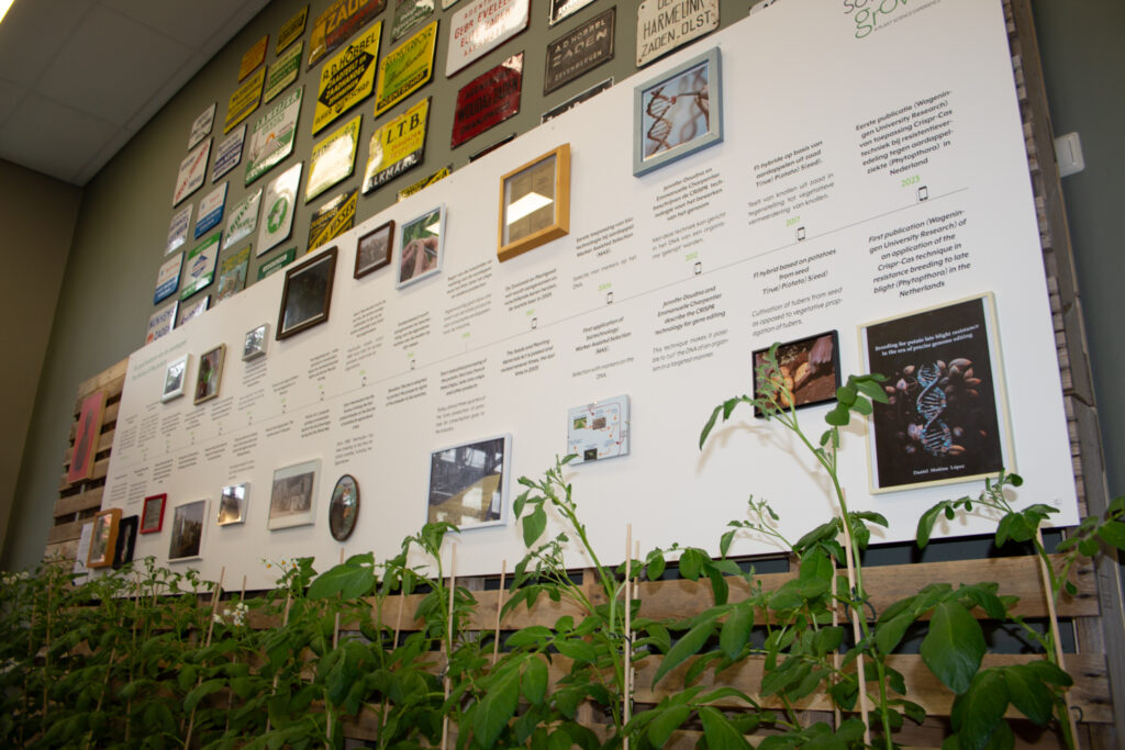 Sow to Grow geschiedenis